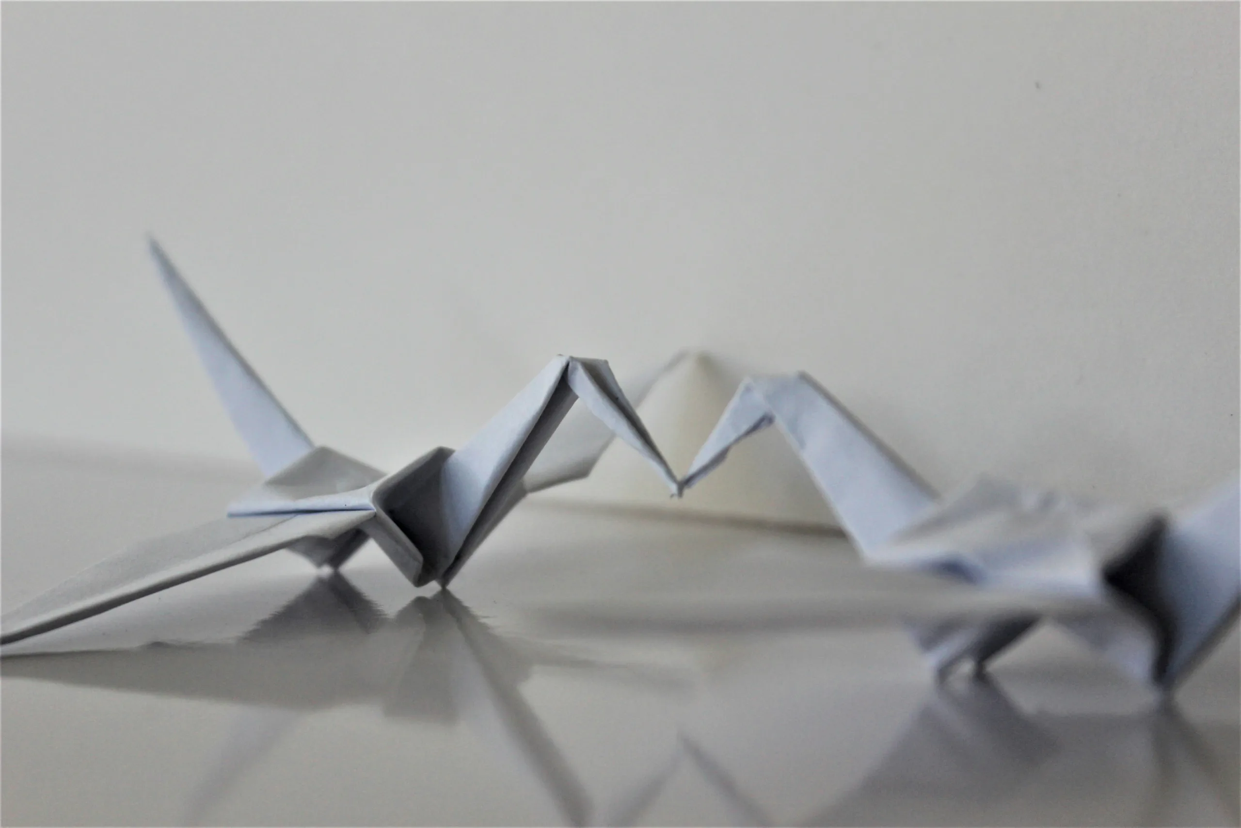 Origami Art Creation