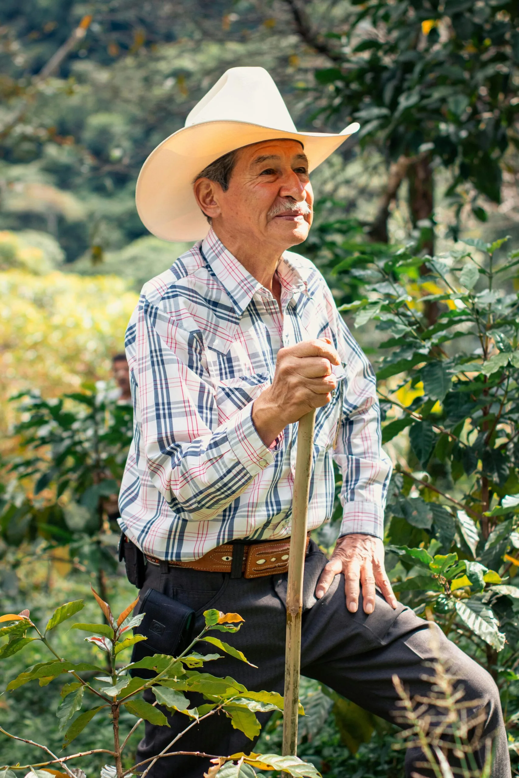 The Potential For Rapid Career Advancement In Freelancing.