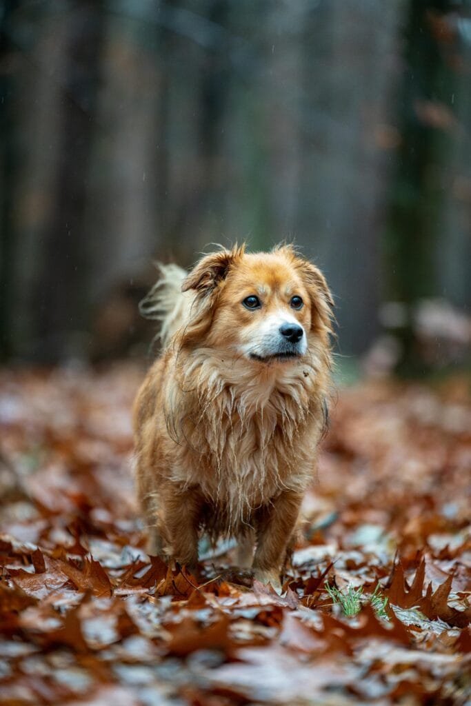 How Freelancers Can Avoid The Daily Grind Of A Traditional Job.