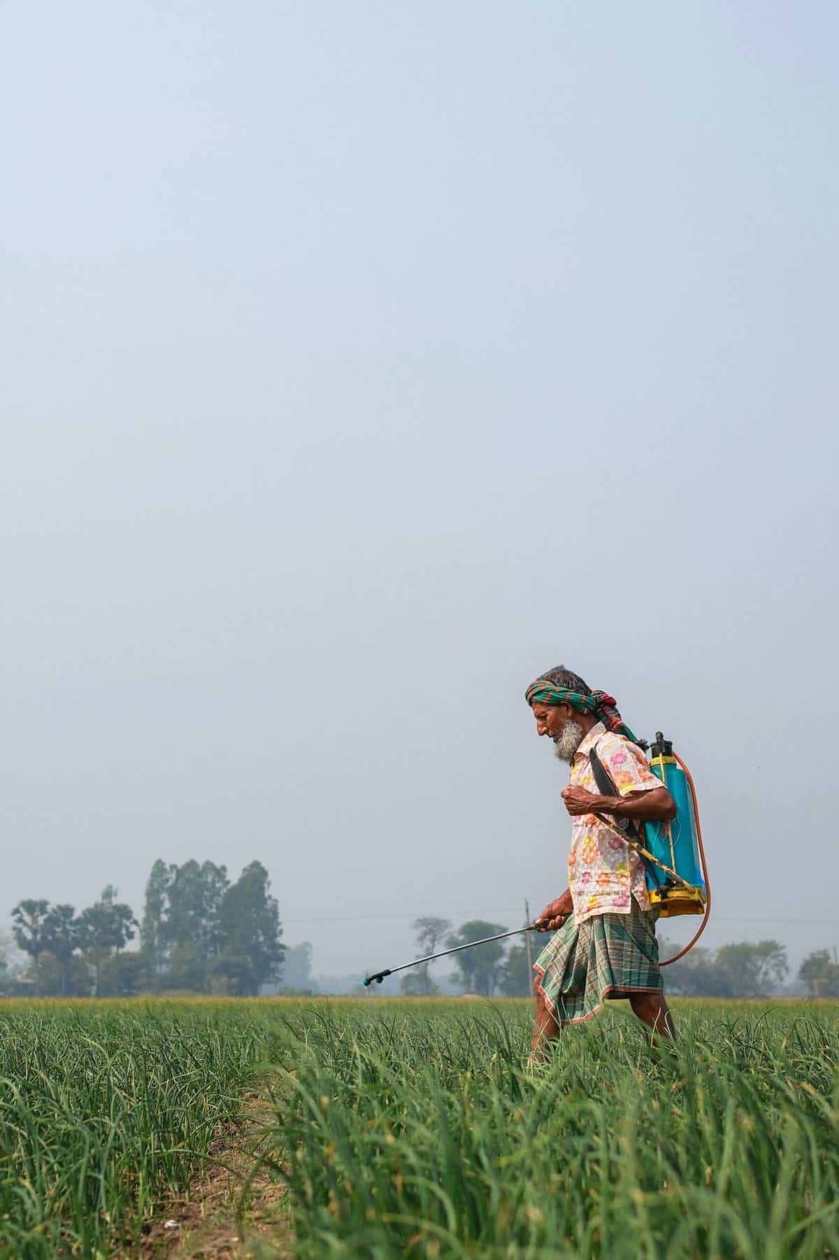 How Freelancers Can Balance Multiple Income Streams.