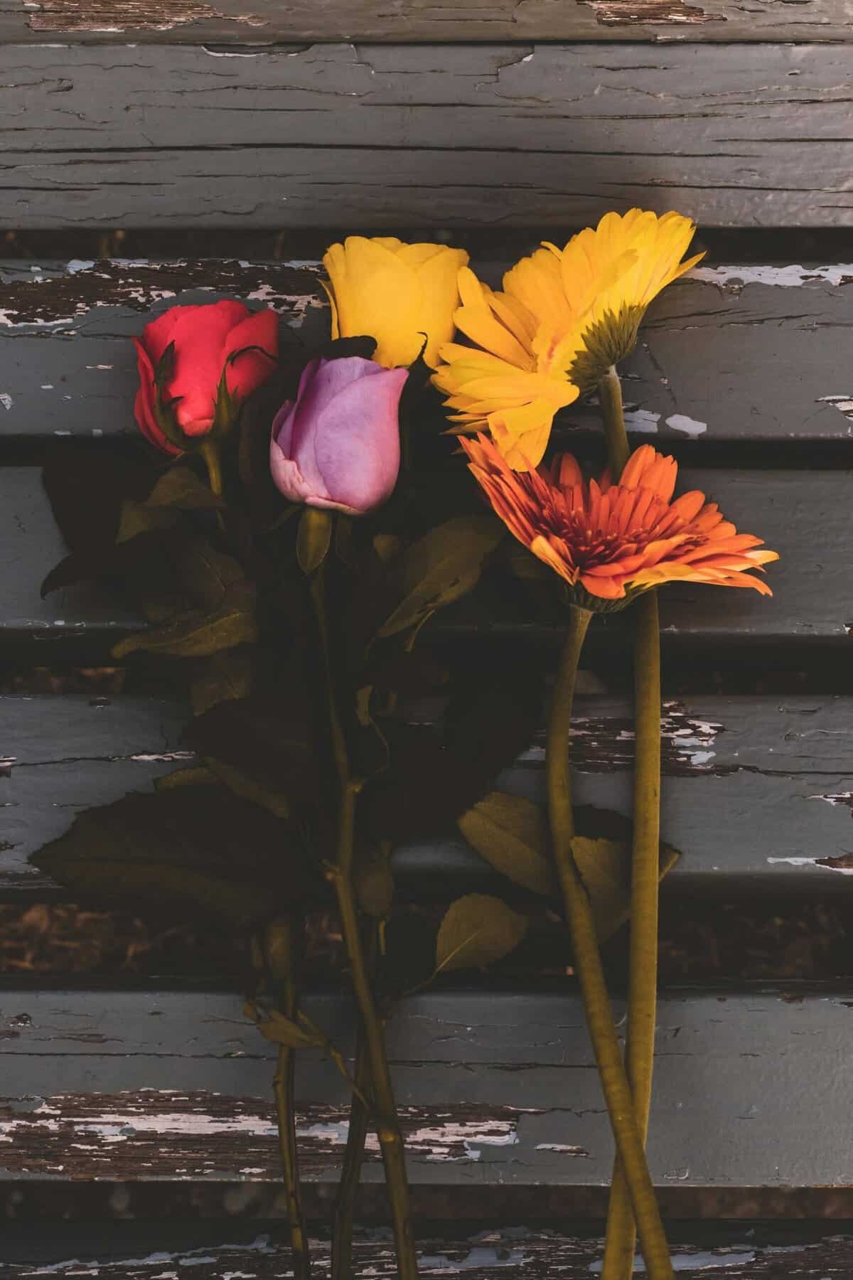 The Potential To Work In A Field That Aligns With Your Passions.