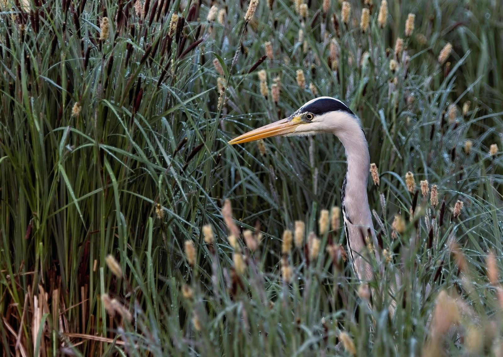 What Does Success Look Like For Me This Year?