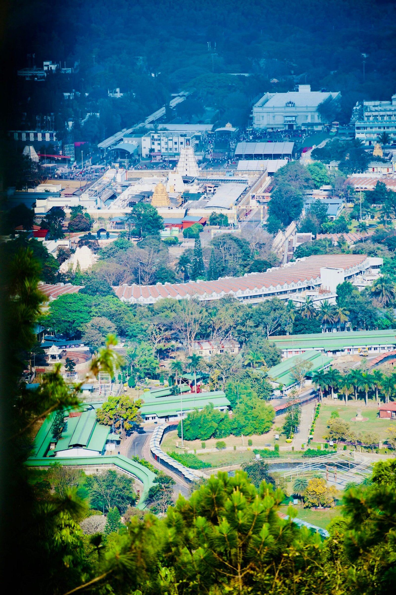 What Makes My Services Unique? What Makes My Services Unique?