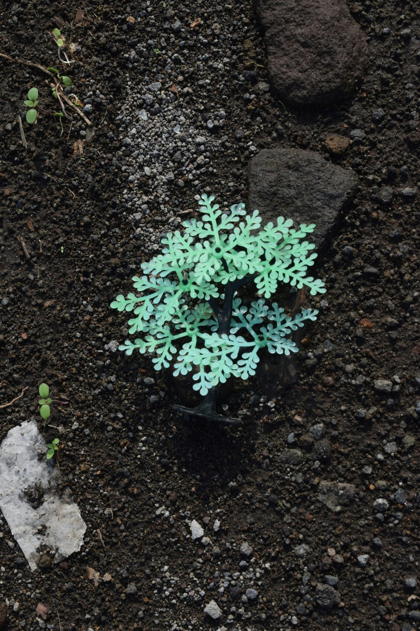 What Makes My Services Unique? What Makes My Services Unique?