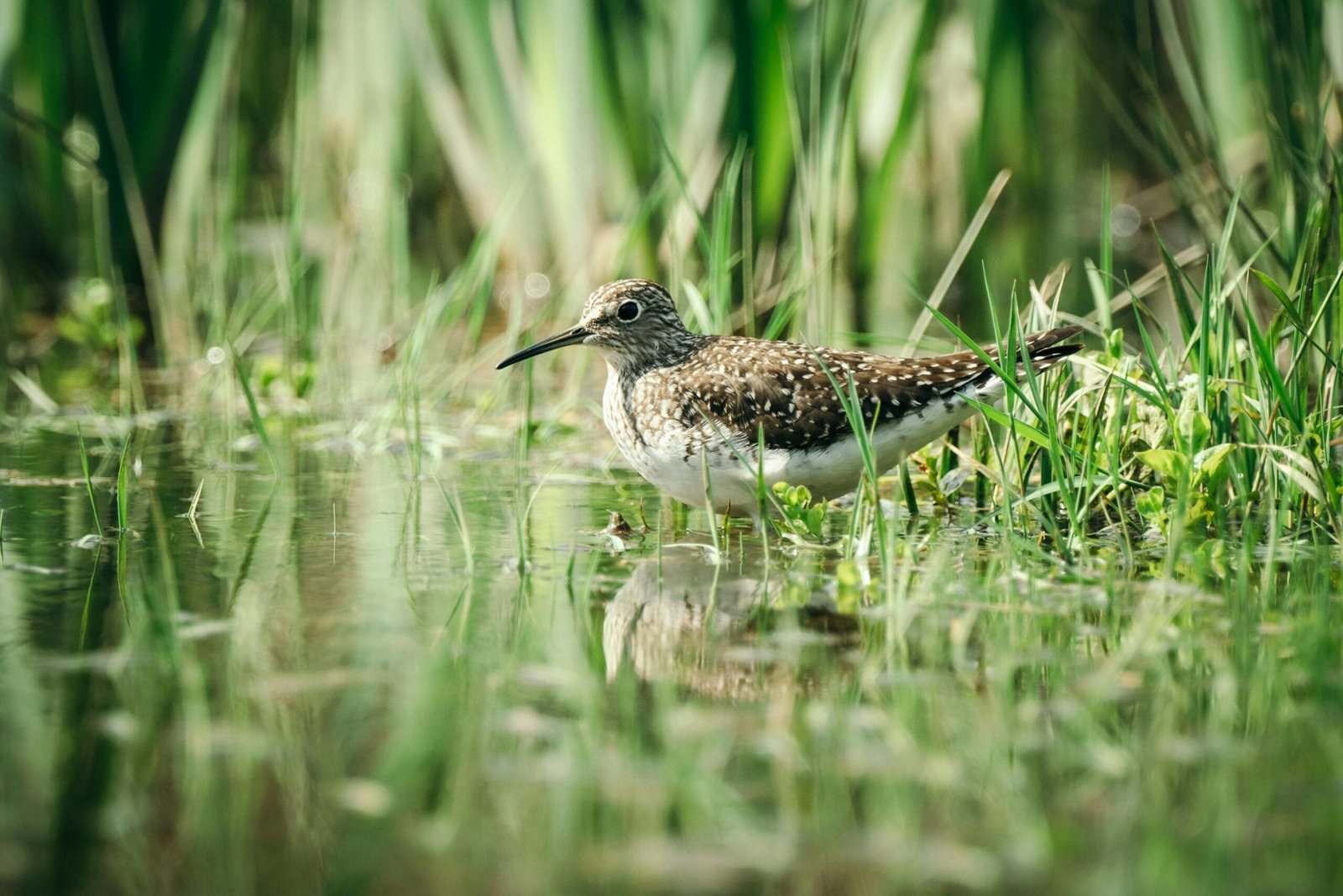 What Systems Can I Create To Make My Work Easier?