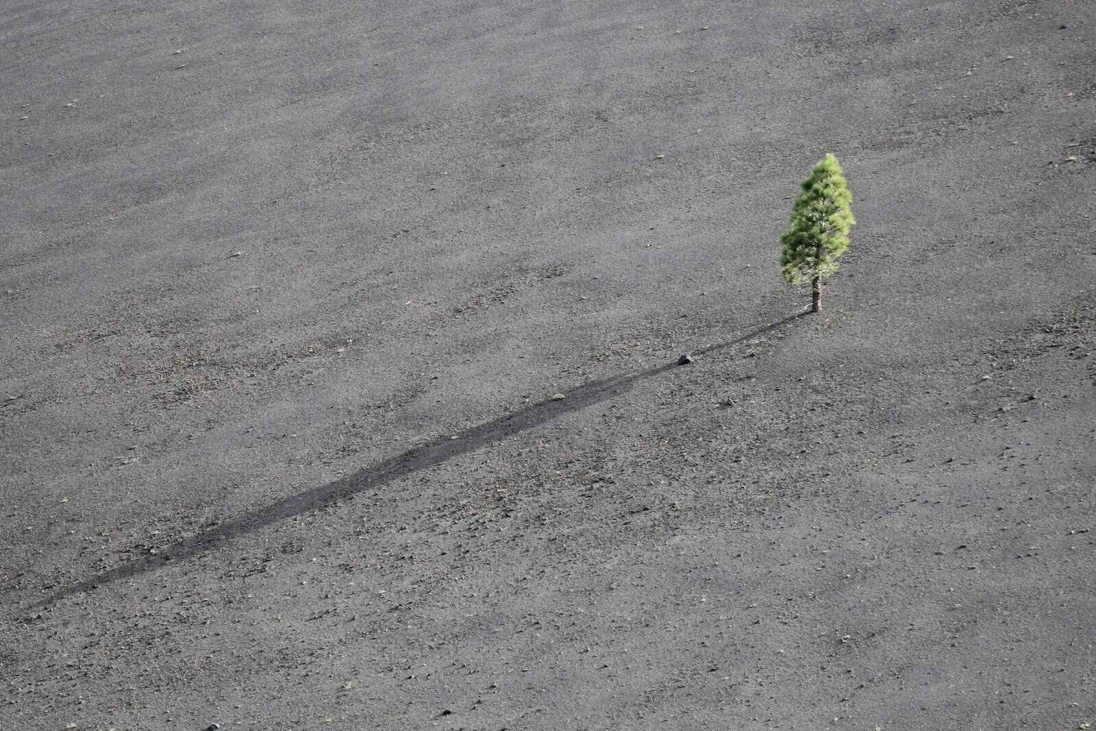 How Do I Stay Curious And Open To Growth? How Do I Stay Curious And Open To Growth?