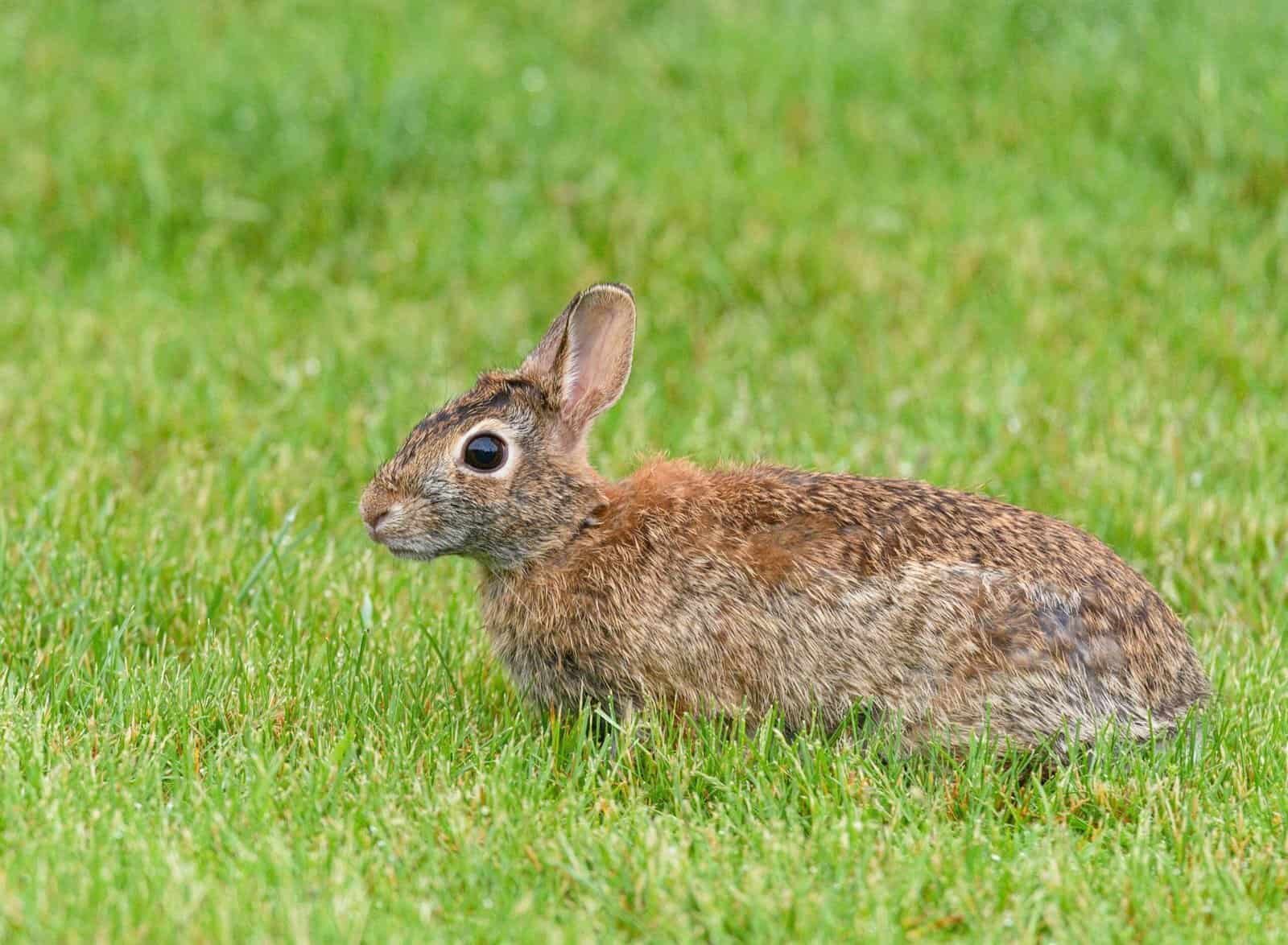 What Freelance Jobs Can Be Done With No Experience?