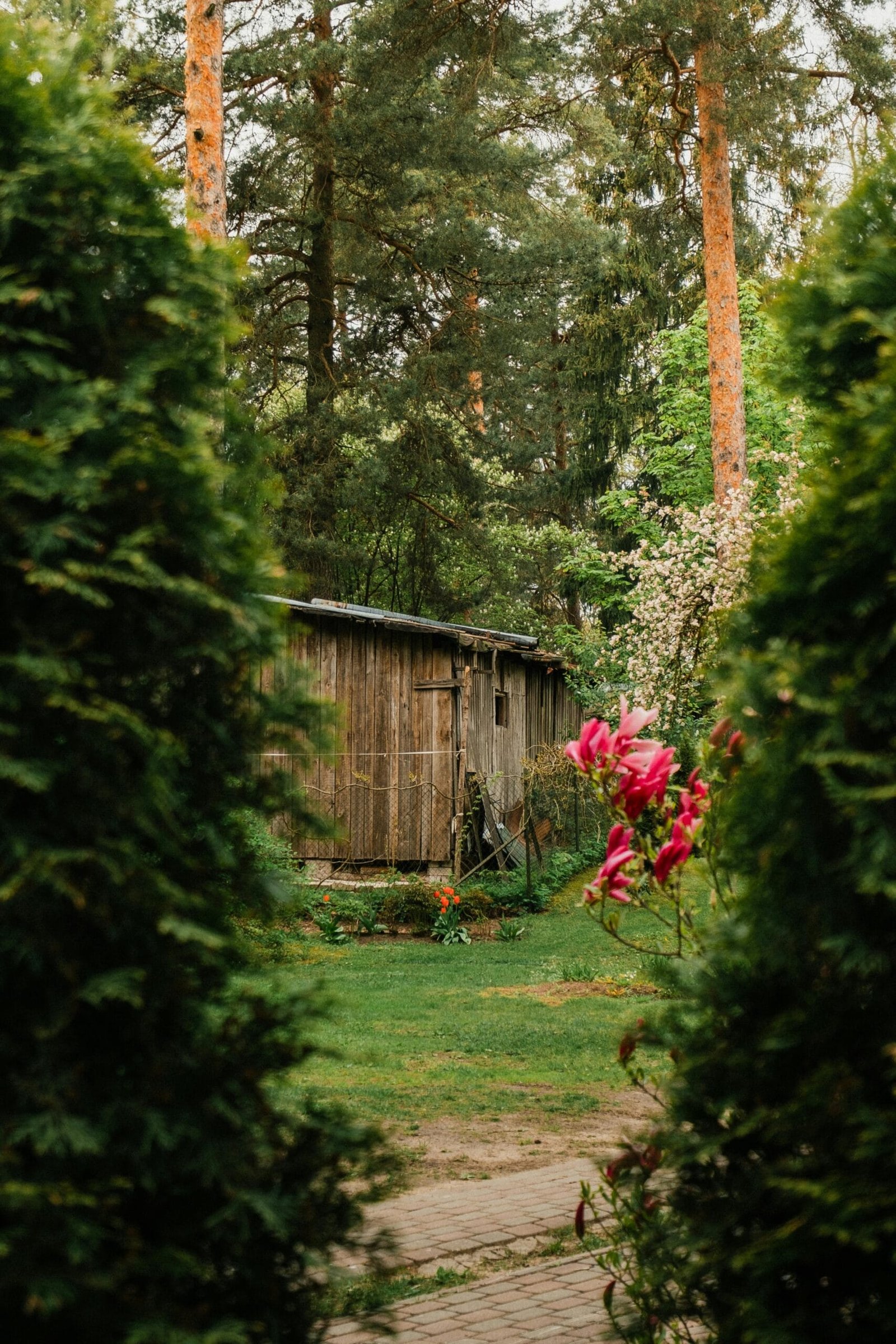 Who Inspires Me In The Freelance World, And Why?