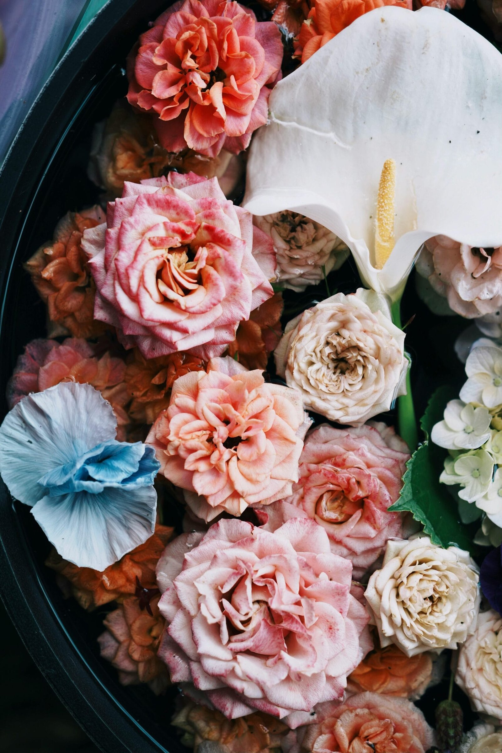 How Do I Get Started As A Freelance Motion Designer? How Do I Get Started As A Freelance Motion Designer?