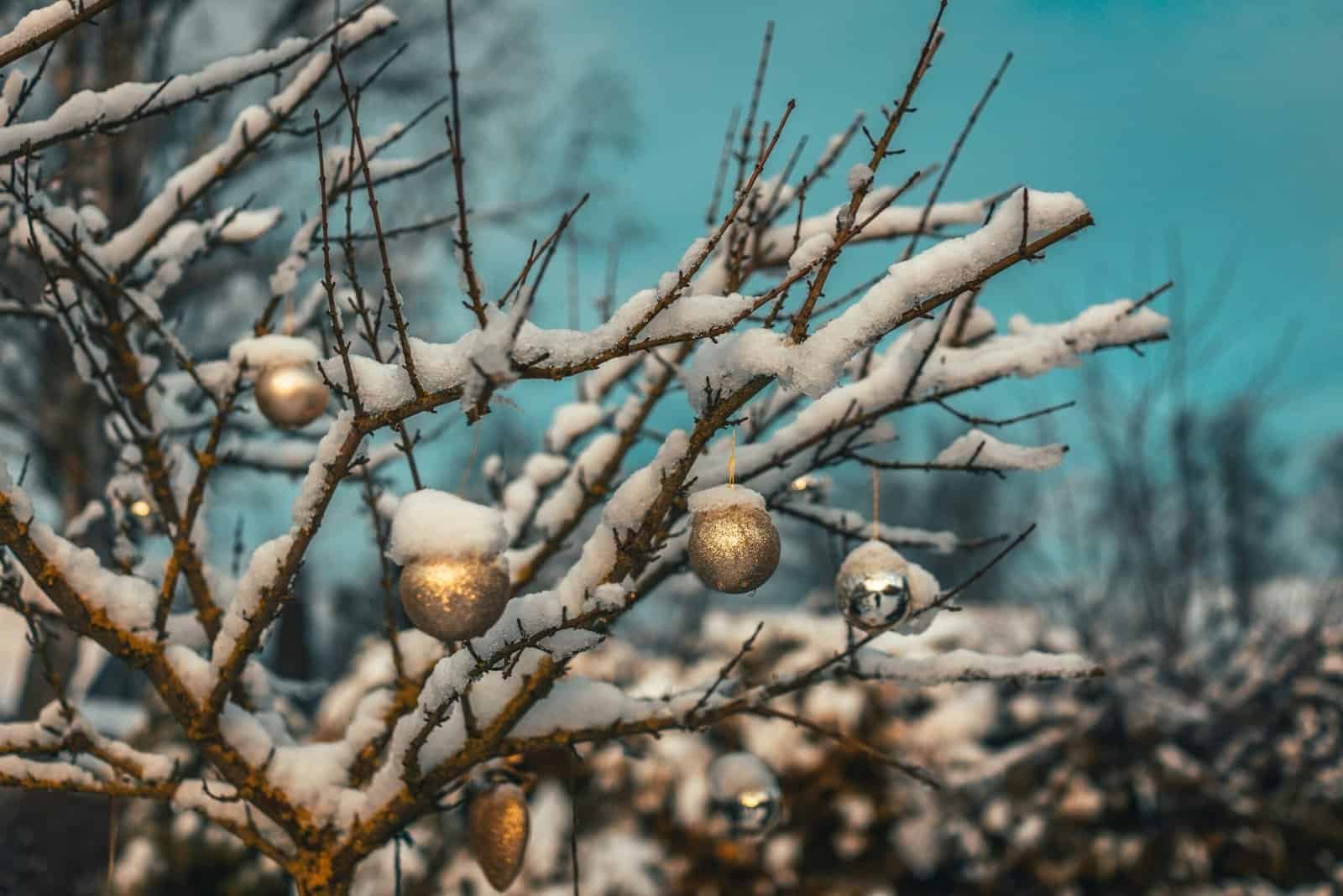 How Do I Handle Slow Seasons Financially And Emotionally?