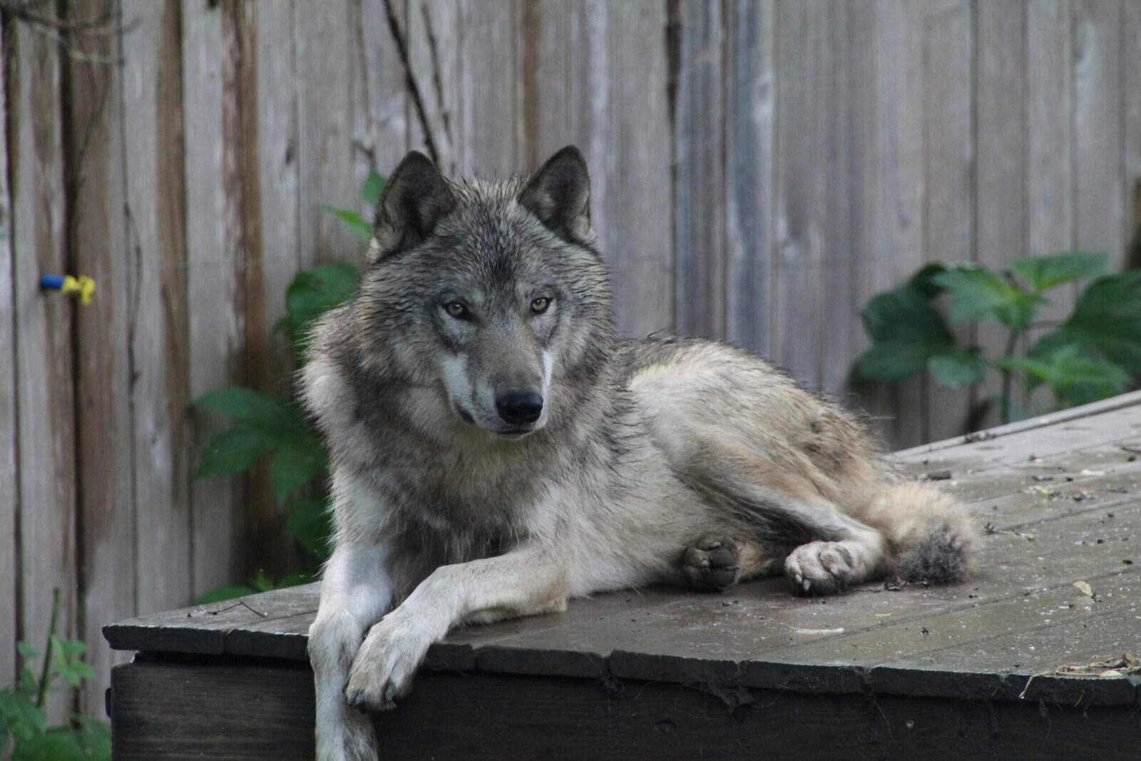 What Platforms Work Best For Finding High-quality Clients?