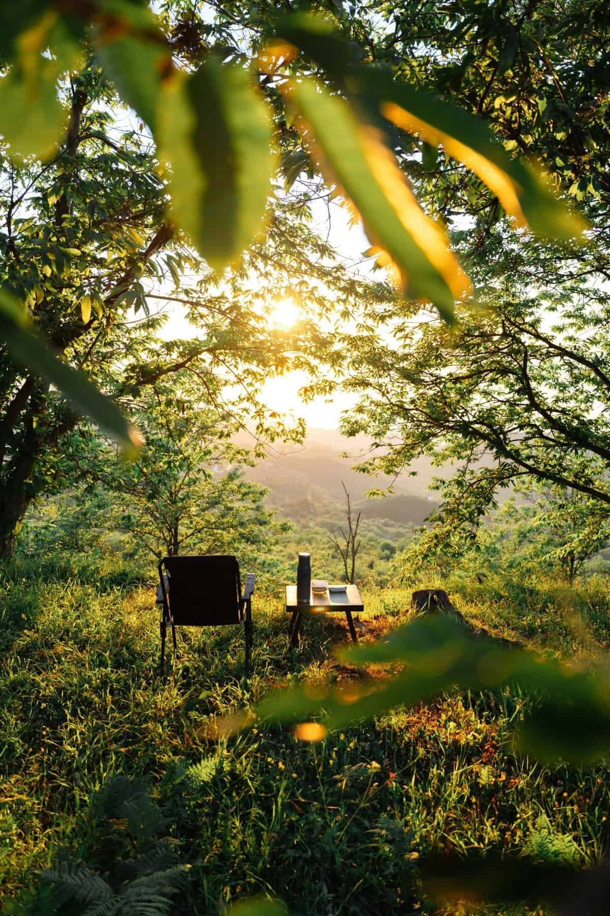 What Would I Do Differently If I Started Freelancing Today? What Would I Do Differently If I Started Freelancing Today?