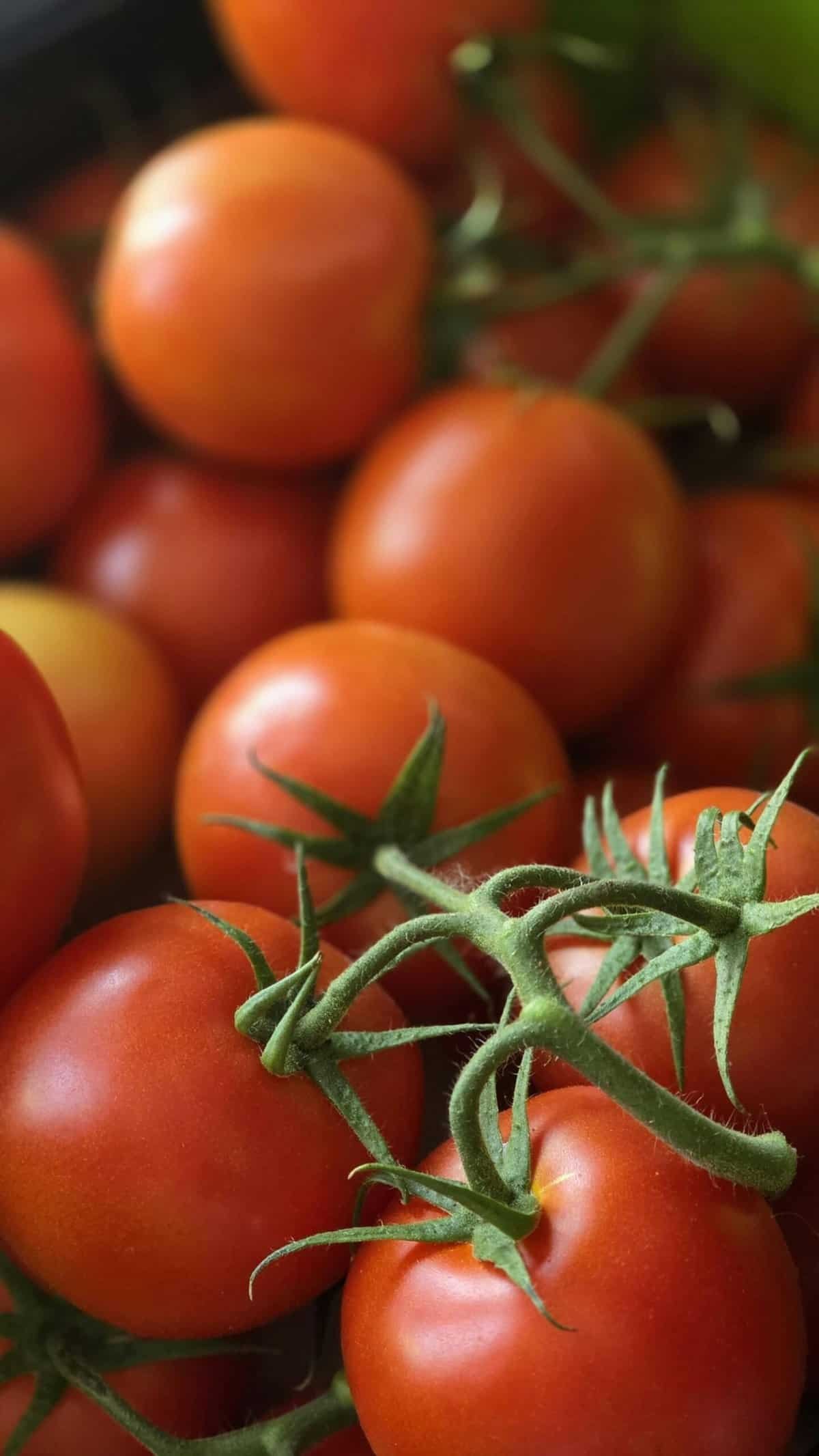 Can I Freelance In Digital Marketing Without An Agency?