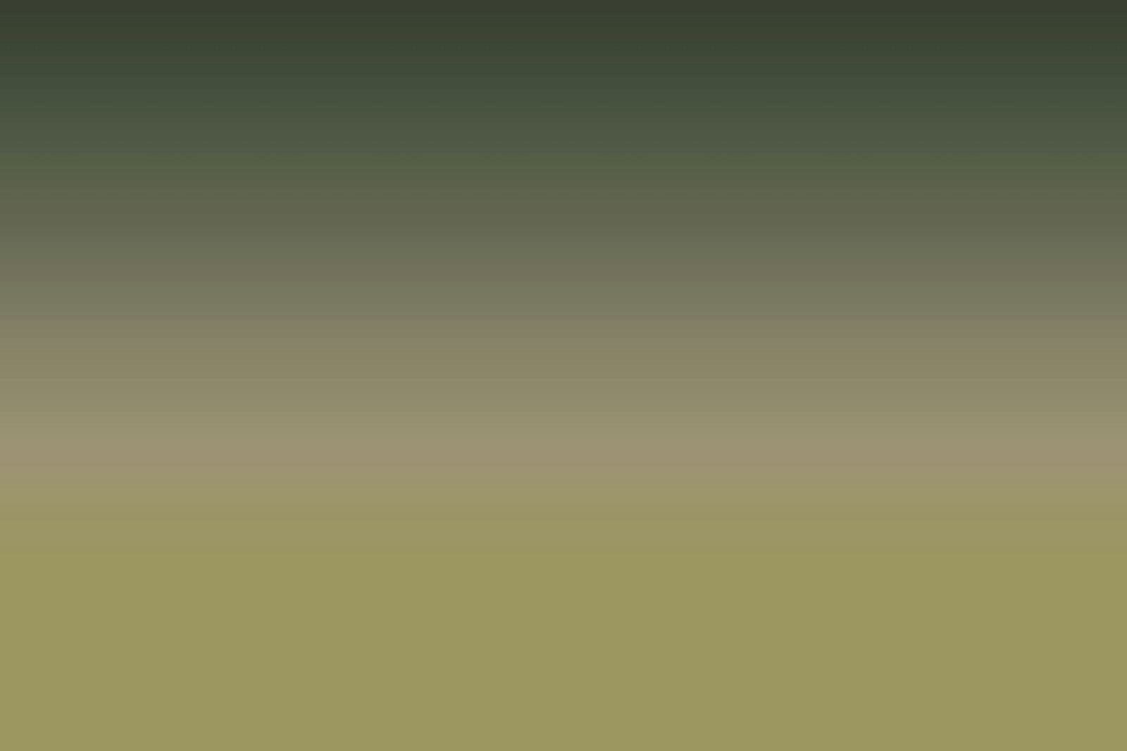 How Do I Define My Freelance Niche?