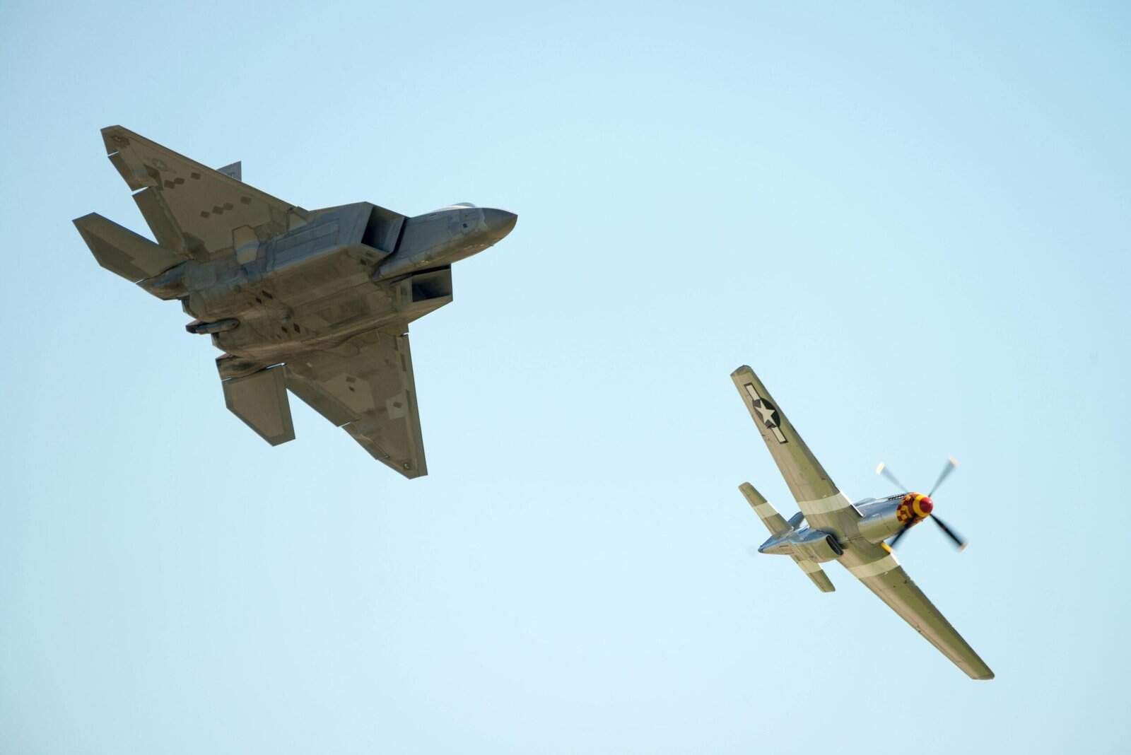 Freelance UX/UI Designer