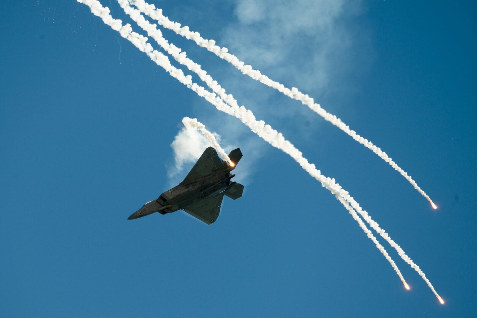 Remote Executive Assistant Remote Executive Assistant