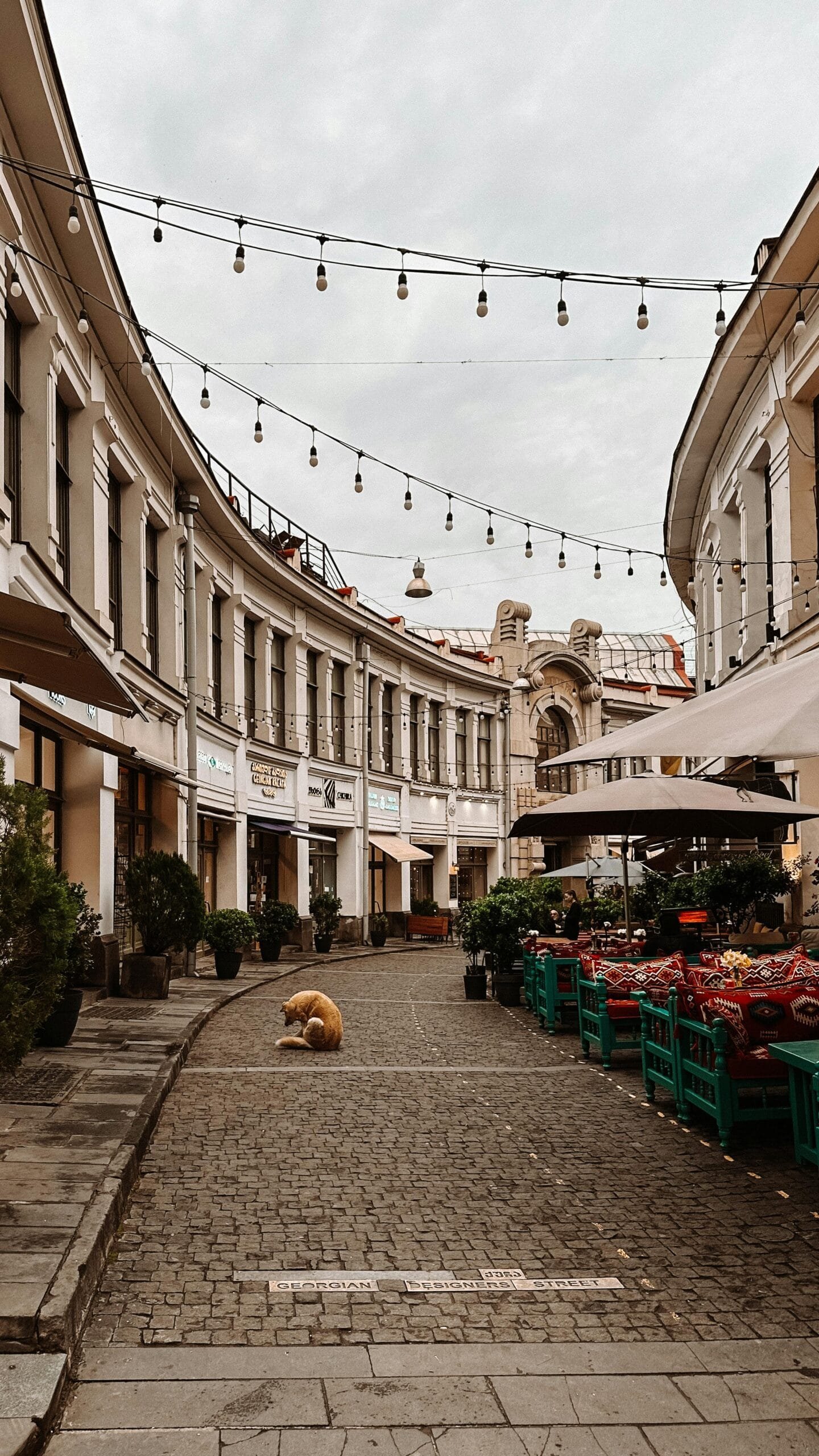 Social Media Ghostwriter