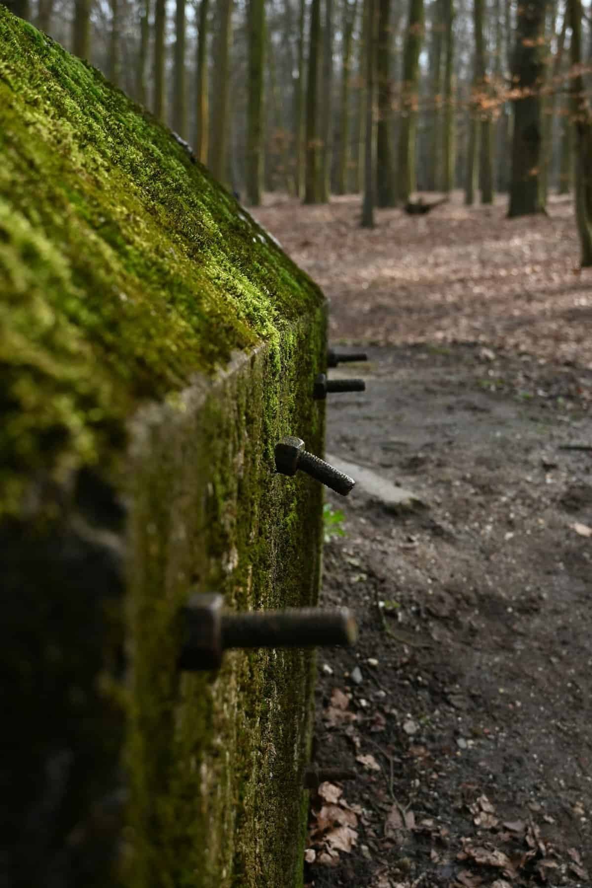 Substack Newsletter Writer Substack Newsletter Writer