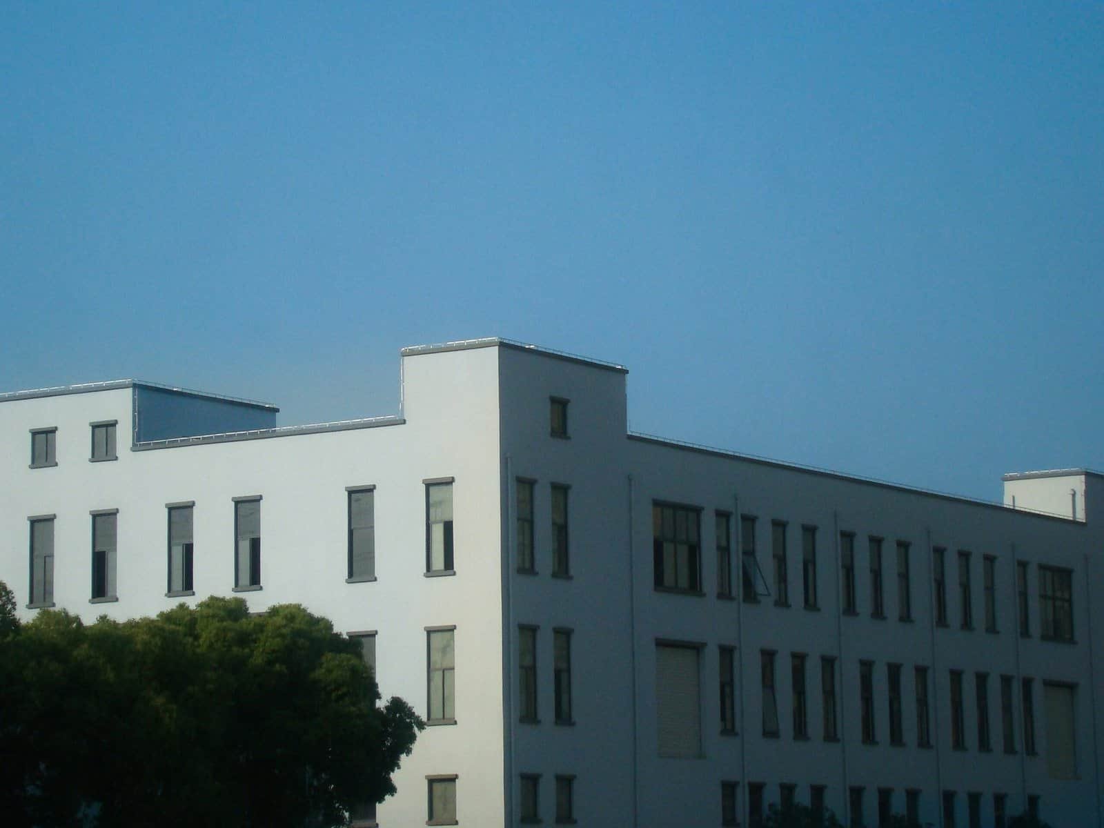 Curriculum Designer For E-learning Curriculum Designer For E-learning