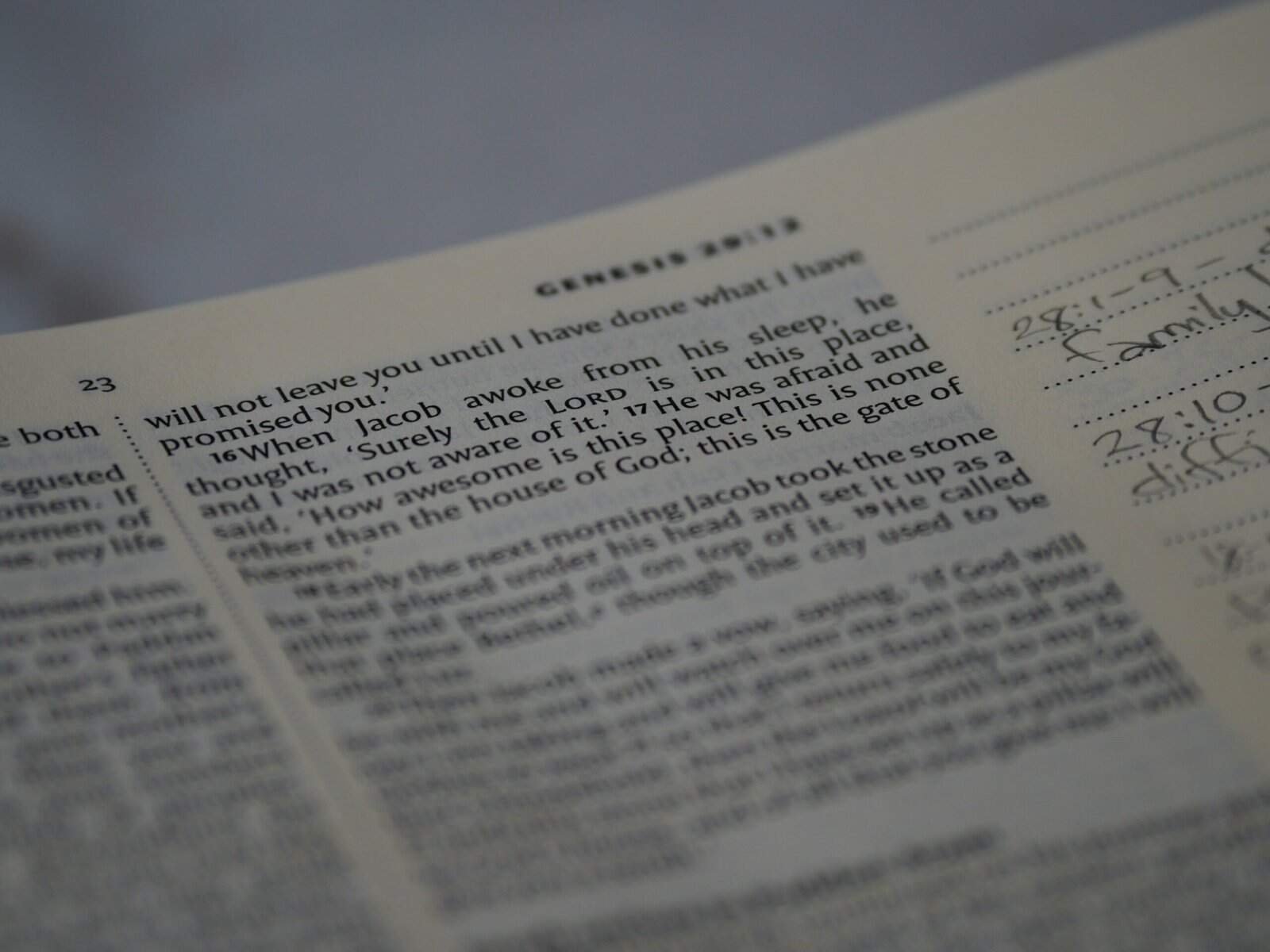 Legal Document Reviewer Legal Document Reviewer