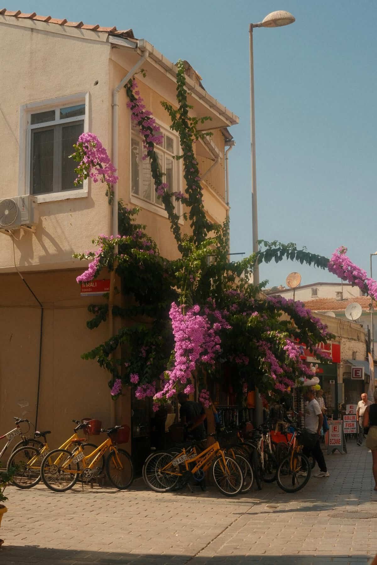 Stay-at-home Mom Selling Canva Templates To Entrepreneurs Stay-at-home Mom Selling Canva Templates To Entrepreneurs