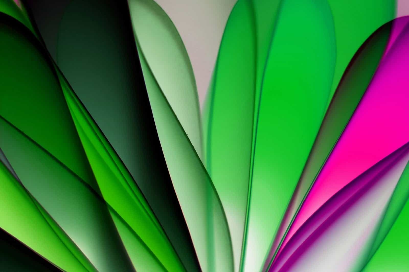 Video Content Editor (TikTok/Reels) Video Content Editor (TikTok/Reels)