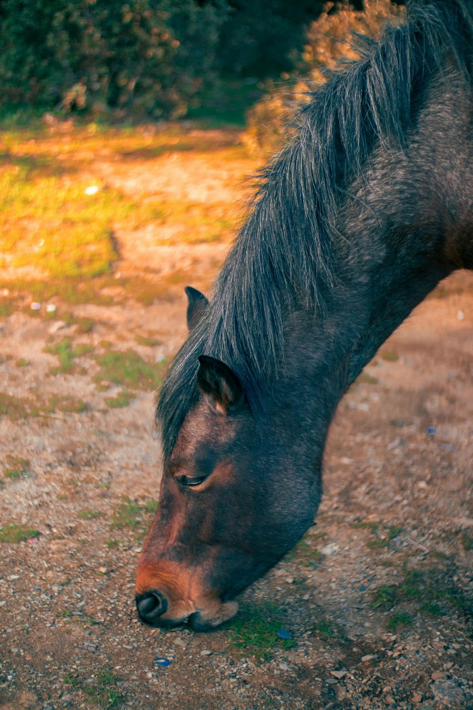 Full-time Traveler Freelancing Through Satellite Internet