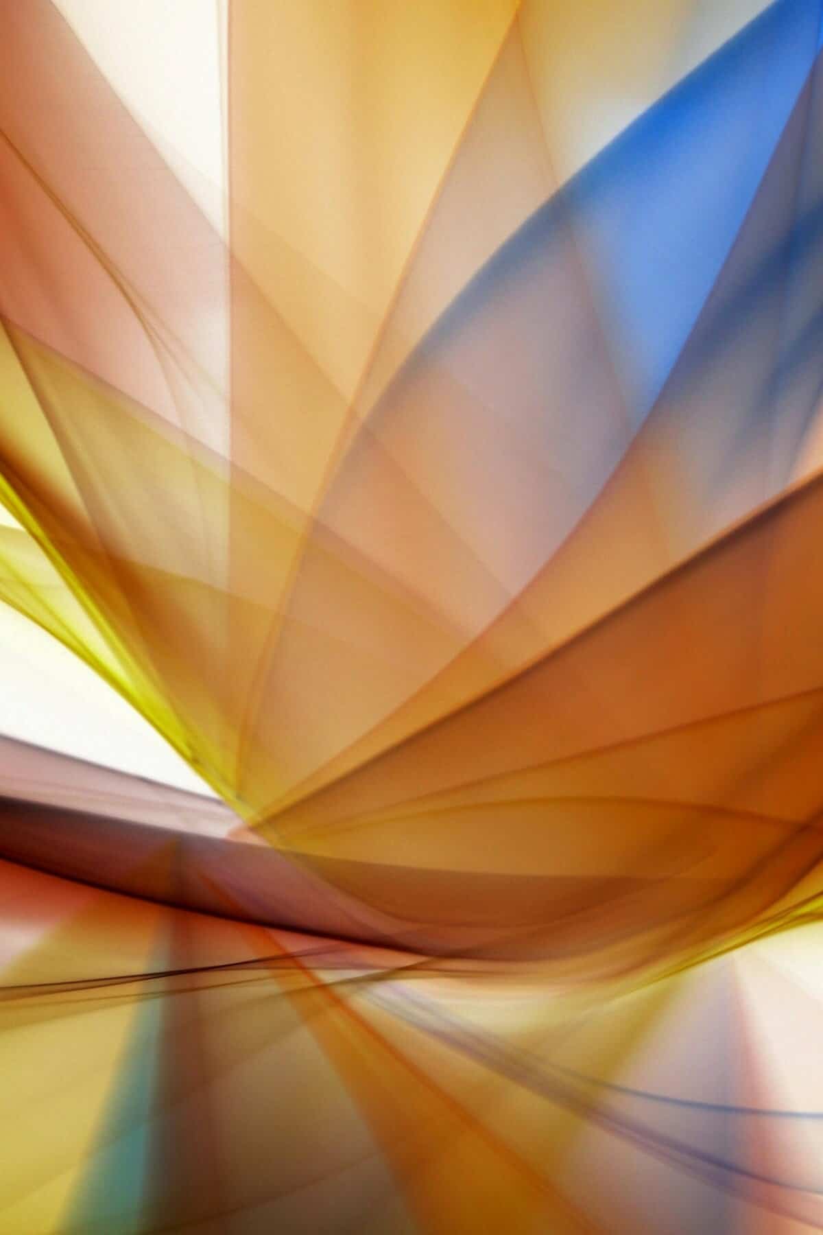 Social Media Video Scriptwriter