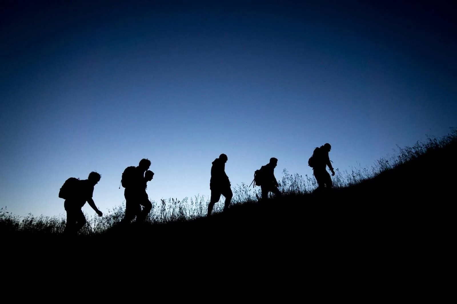 Can Freelancing Help Build Leadership Skills? 2026