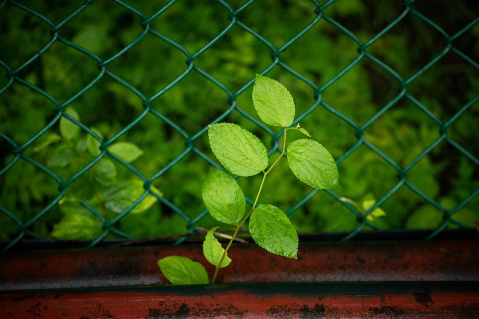 How Do Freelancers Bounce Back After Losing A Client? How Do Freelancers Bounce Back After Losing A Client?