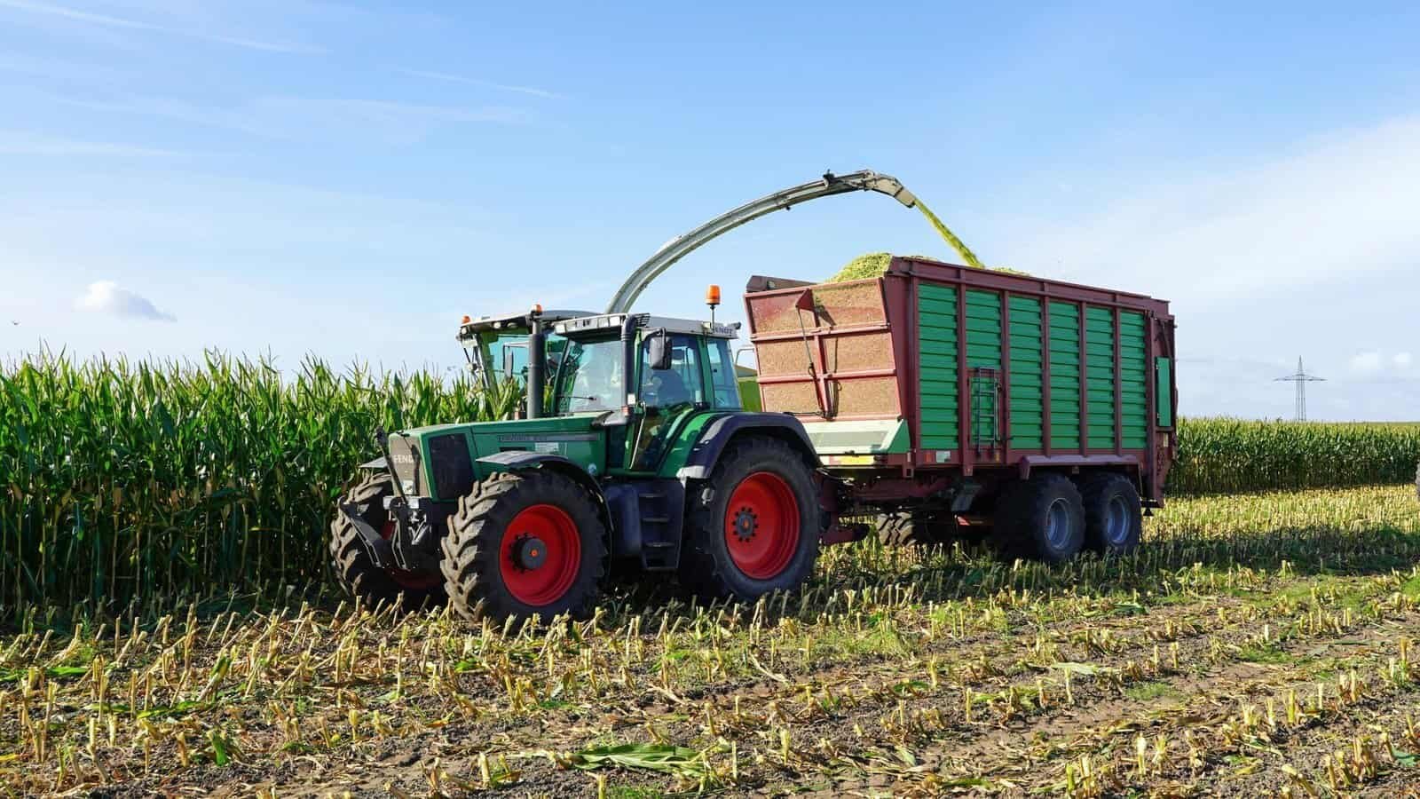 What Are The Top Freelance Jobs In AI And Machine Learning?