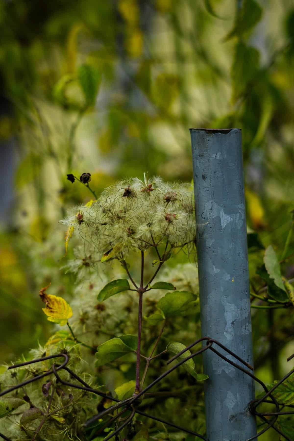 What Lessons From Failures Inspire Freelancers To Grow?