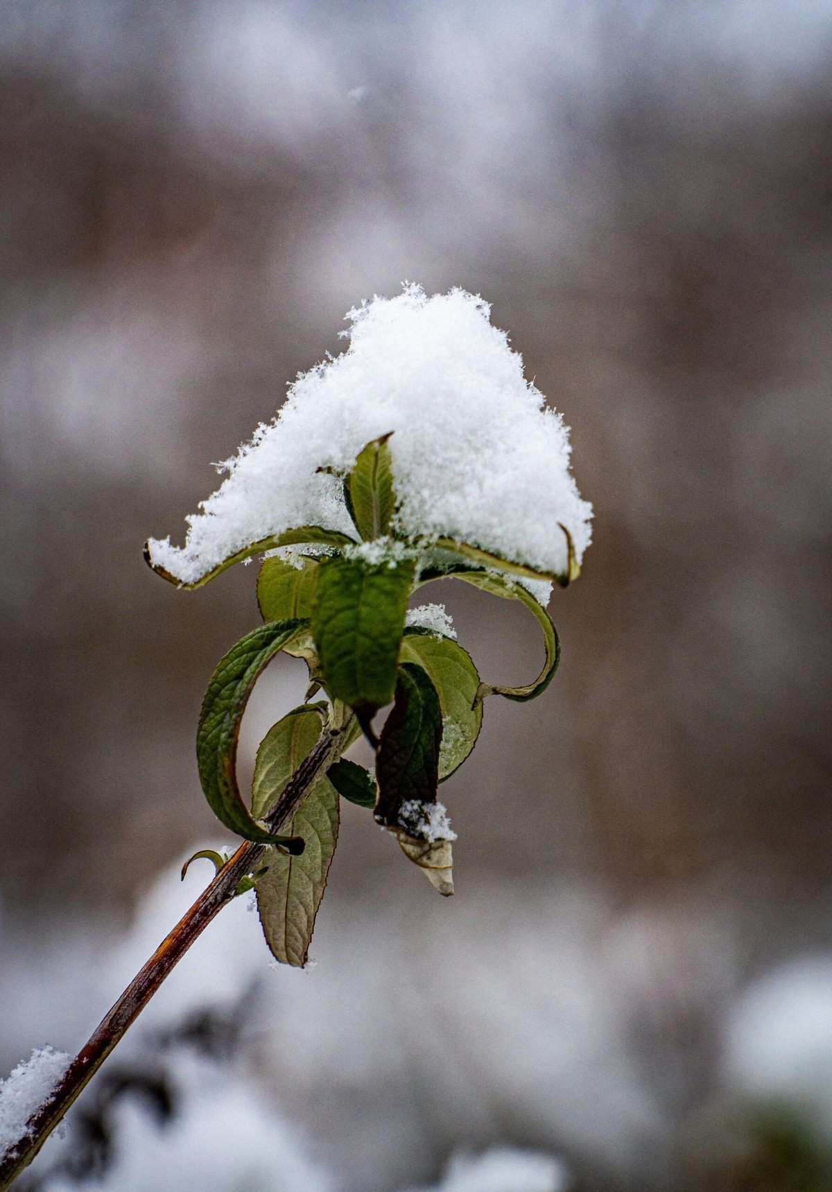 What Lessons From Failures Inspire Freelancers To Grow?