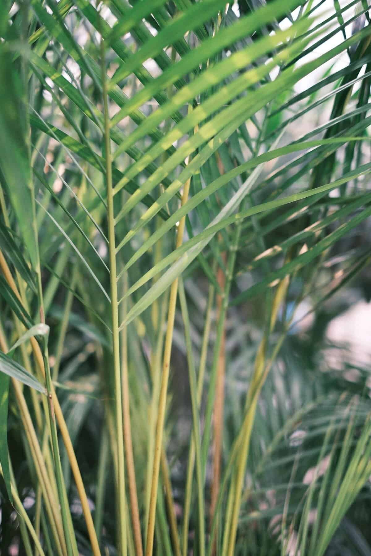 What Lessons From Failures Inspire Freelancers To Grow?