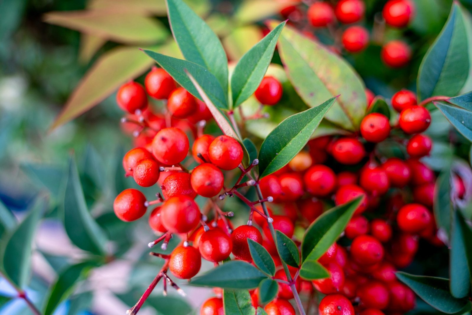 What Mindset Helps Freelancers Embrace Uncertainty?