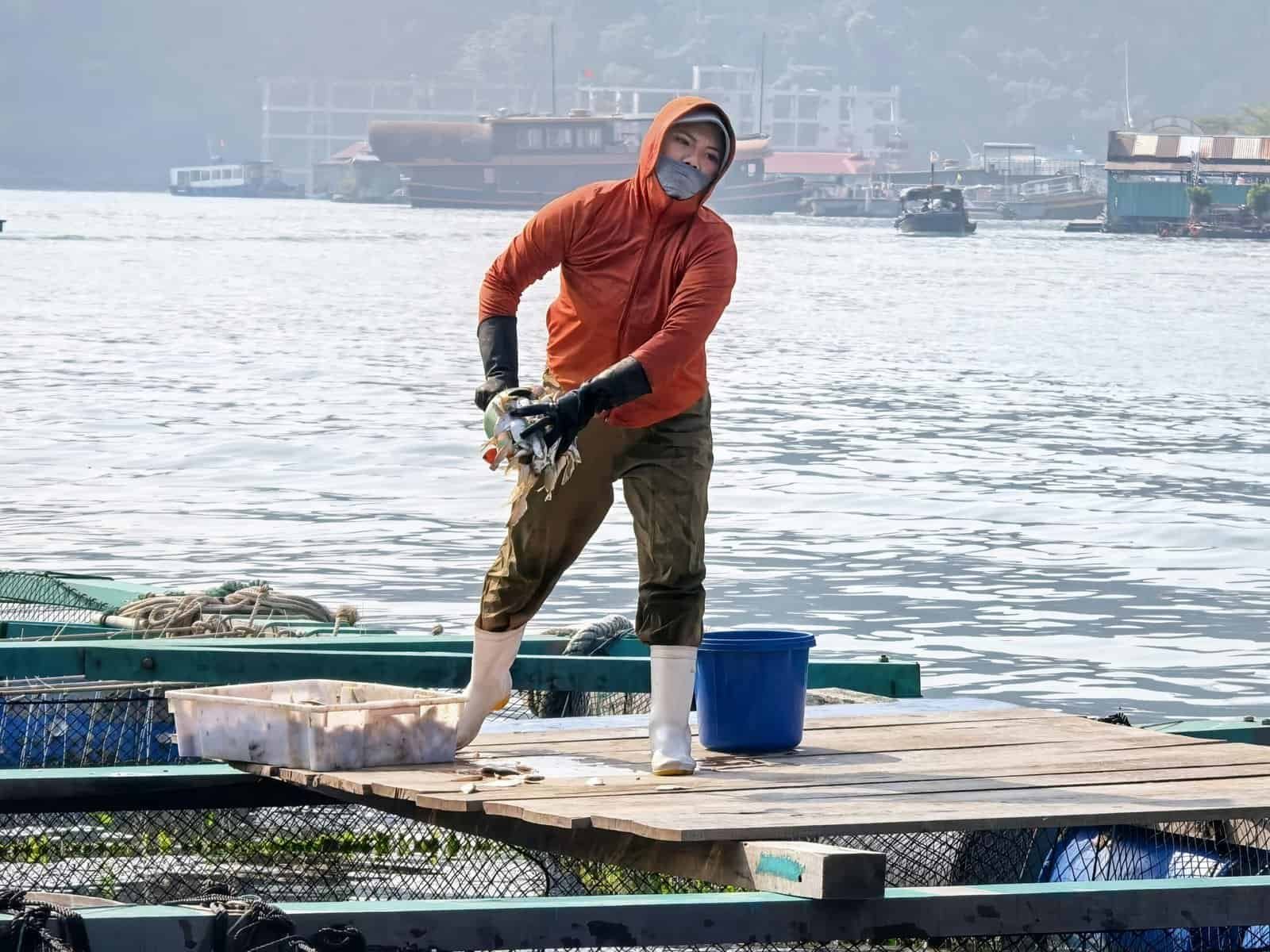 What Are The Most Unique Freelance Jobs In 2025? What Are The Most Unique Freelance Jobs In 2025?